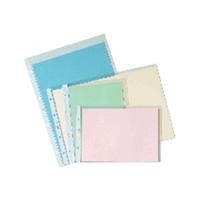 PAR C.100 FUNDAS MULTIT EXTRA FOLIO 220100