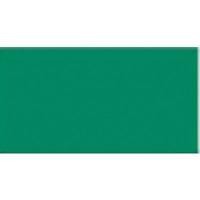 GUARRO CASAS 50 HOJAS CARTULINA IRIS 297 X 420 MM (A3) 185 G. VERDE ABETO REF. 040-4811