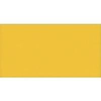 GUARRO CASAS 50 HOJAS CARTULINA IRIS FORMATO A3 185 G. AMARILLO CANARIO REF. 040-4601